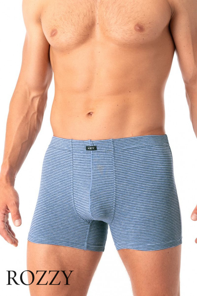Трусы шорты мужские Key MXH 073 серо-голубой
