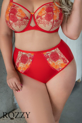 Трусы классика Kris Line Sweetheart красный/оранжевый