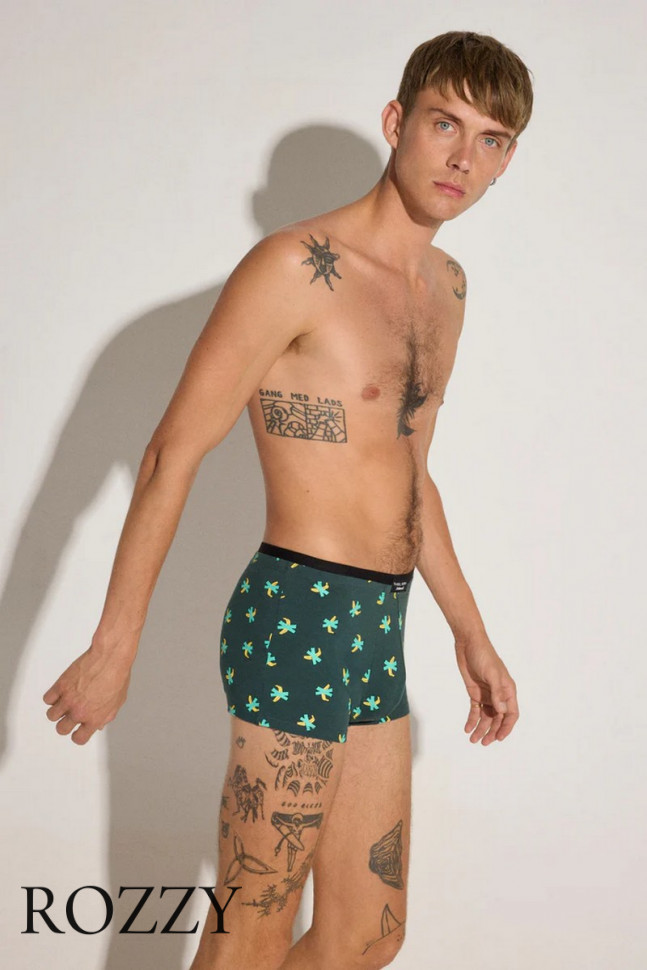 Набор трусы шорты мужские + носки Ysabel Mora 20384 темно-зеленый