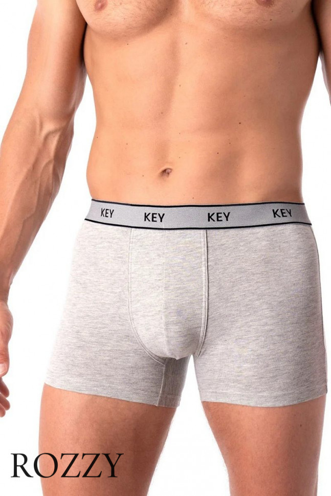 Трусы шорты мужские Key MXH 222 светло-серый