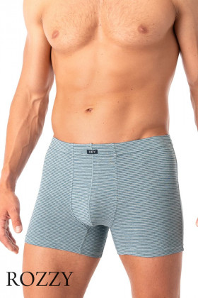 Трусы шорты мужские Key MXH 073 серый