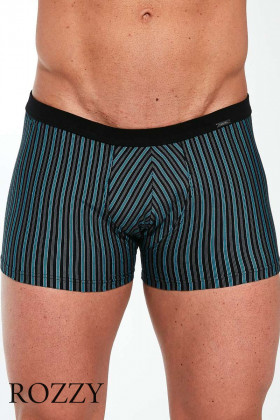 Трусы шорты мужские Cornette 912-3 черный/бирюзовый